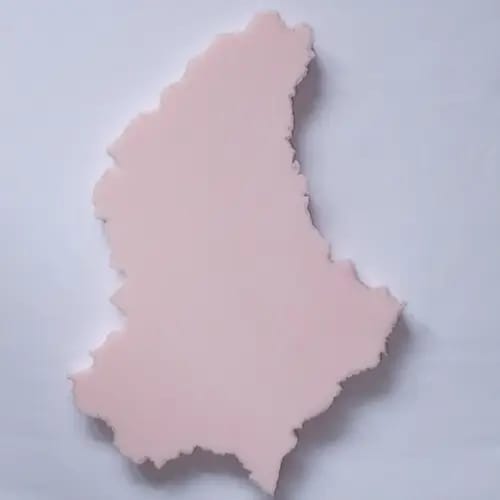 Kurt Mitterndorfer, Rosa Luxemburg die 
Kämpferin für die Rechte 
der Frauen „R. L. 5“
49 x 49 cm / Schaumstoff 
auf Papier,