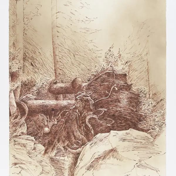 HorstGrafleitner