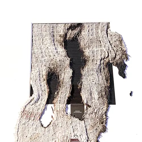 Renée Kellner, BAA BAA BLACK SHEEP HAVE YOU ANY, 
2023,  
50 x 50 cm