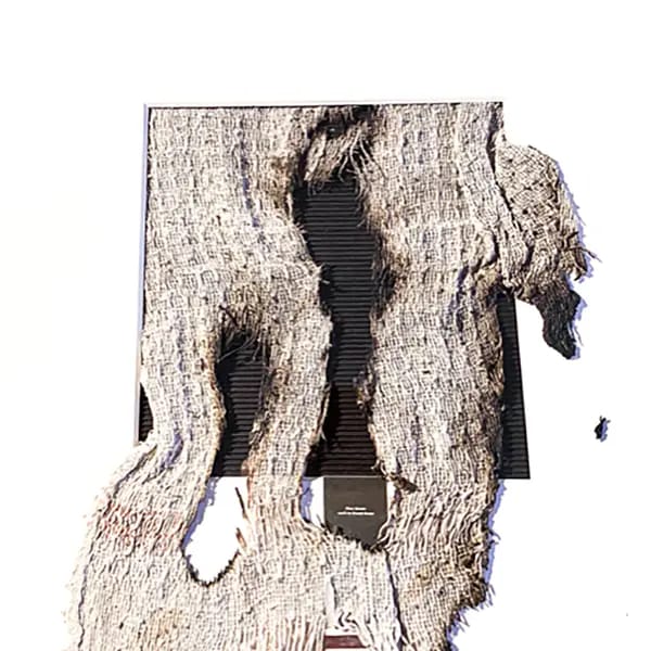 ReneKellner, BAA BAA BLACK SHEEP HAVE YOU ANY, 
2023,  
50 x 50 cm